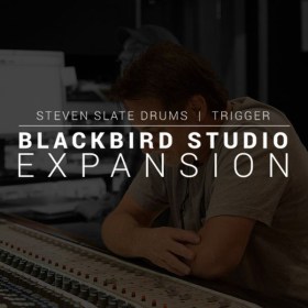 Steven Slate Audio Blackbird Studio Trigger Exp. Цифровые лицензии